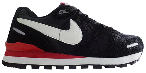 Tênis Nike Pegasus