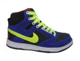Nike SB Dunk